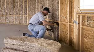 Best Garage Insulation  in Lakeland, MN