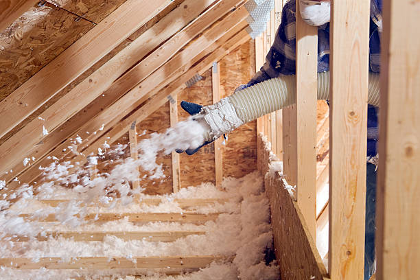 Best Eco-Friendly Insulation Solutions  in Lakeland, MN